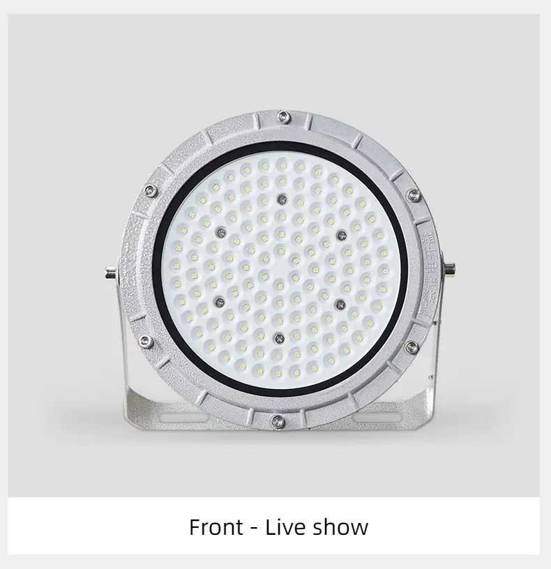 Explosion-proof lamp (1)